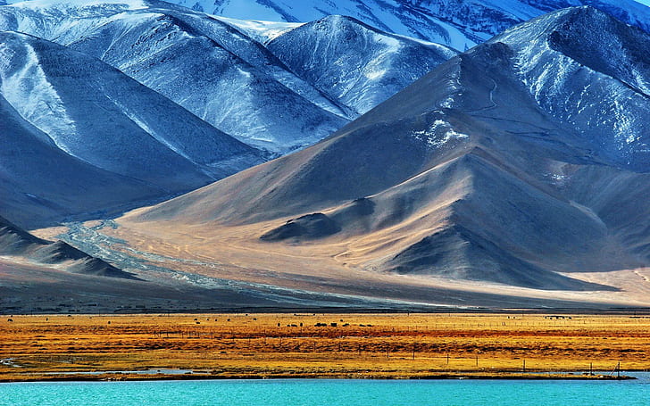 natur, landskap, berg, snö, vatten, sjö, snöig topp, fält, Pamirbergen, Tadzjikistan, kullar, djur, staket, dal, HD tapet