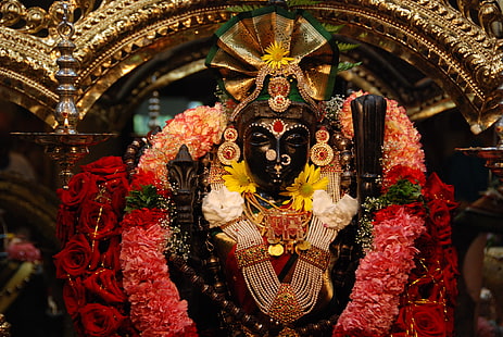 Tuhan, patung dewa hindu, Tuhan, Tuhan Shrinathji, tuan krishna, tuan, Wallpaper HD HD wallpaper