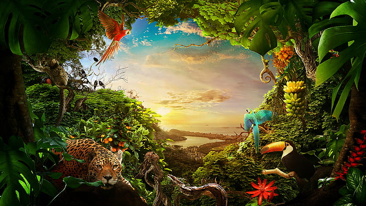 森の野生動物4K、森、動物、野生動物、 HDデスクトップの壁紙