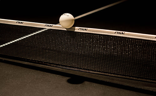 белый шарик, сетка, шарик, настольный теннис, настольный теннис, HD обои HD wallpaper