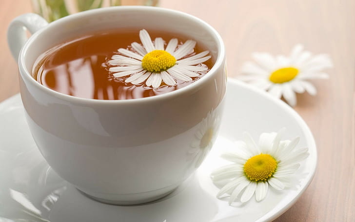 Tea, Camomile, Cup, Flowers, HD wallpaper