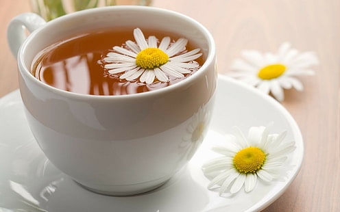 Tea, Camomile, Cup, Flowers, HD wallpaper HD wallpaper