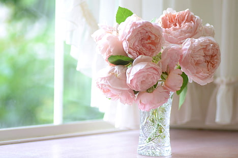 centrotavola bouquet di fiori rosa inglese rosa, rose, petali, finestra, vaso, davanzale, rosa, gemme, Sfondo HD HD wallpaper
