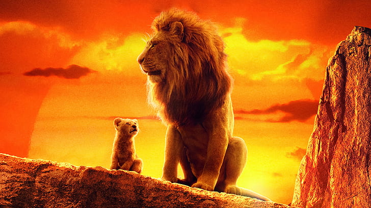 Film, Der König der Löwen (2019), Mufasa (Der König der Löwen), Simba, HD-Hintergrundbild
