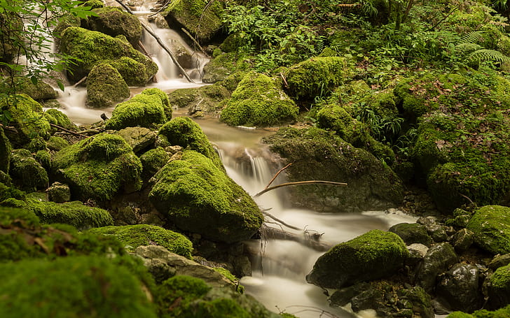 Air Terjun Batu Lumut Batu Hutan Hutan Hijau HD, alam, hijau, hutan, batu, batu, air terjun, lumut, hutan, Wallpaper HD