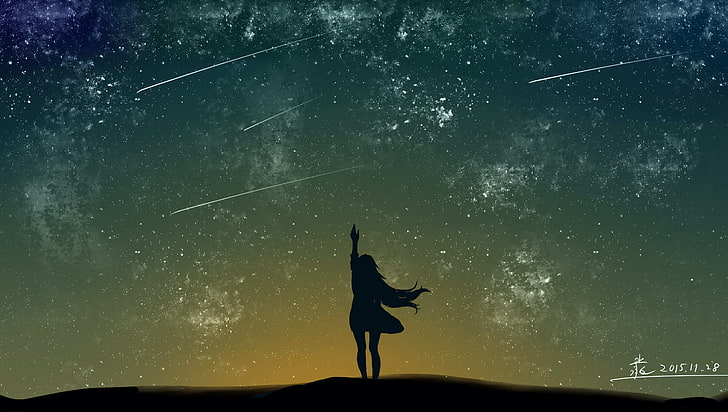 silhouette di donna sotto la pioggia di meteoriti illustrazione, donne, arte digitale, spazio, stelle, anime girls, Sfondo HD