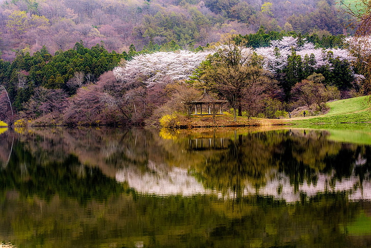 cenador de madera marrón, bosque, agua, árboles, montañas, lago, reflexión, orilla, primavera, mirador, floración, Corea del Sur, Fondo de pantalla HD