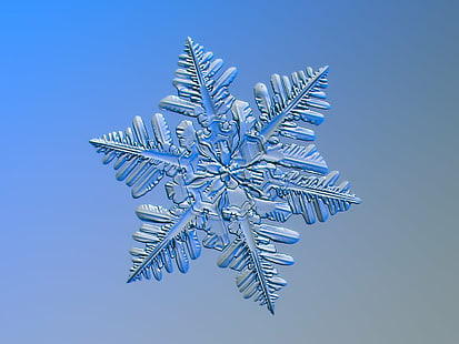 雪片の装飾、スノーフレーク、n.4、雪片、装飾、実、背景、自然、写真、雪、抽象、マクロ、クリスマス、ユニーク、詳細、霜、顕微鏡、季節、自然、季節、クローズアップ、天気、寒さ、氷、対称、構造、光、パターン、形状、シンボル、珍しい、デザイン、壊れやすい、対称、幾何学的、きらびやかな、水、凍結、飾り、驚くべき、つや消し、対称、ZE、拡大、エレガント、華やかな、美しさ、美しい、壊れやすさ、冷ややかな、キラキラ、輝き、色、誰も、シングル、ブルーグレー、グラデーション、滑らか、光沢、レリーフ、снежинка、複雑な、星、樹状突起、薄い、冬、装飾、青、氷の結晶、寒さ-温度、背景、休日、白、お祝い、 HDデスクトップの壁紙 HD wallpaper