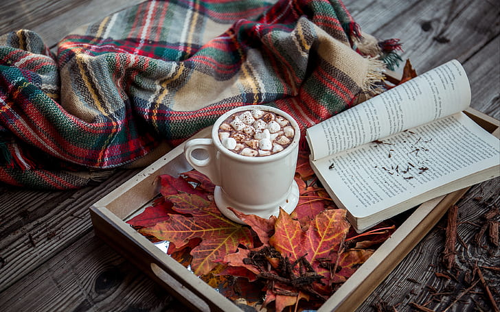 wood, background, autumn, leaves, book, cocoa, tray, blanket, plaid, hot chocolate, marshmallow, marshmallows, hot cocoa, HD wallpaper