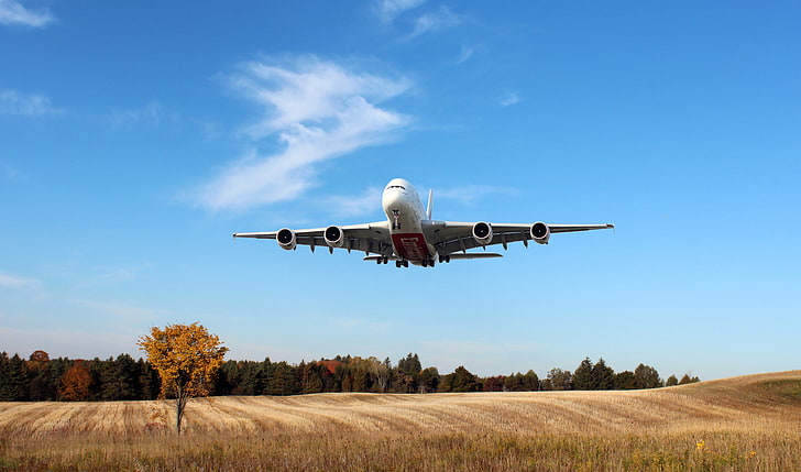 Weißes und rotes Flugzeug, Der Himmel, Feld, Weiß, Das Flugzeug, Bäume, Tag, A380, Landung, Passagier, Airbus, In der Luft, Verkehrsflugzeug, Emirates Airline, HD-Hintergrundbild