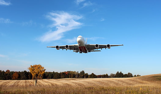 vitt och rött flygplan, himlen, fältet, vitt, planet, träd, dag, A380, landning, passagerare, Airbus, i luften, flygplan, Emirates Airline, HD tapet HD wallpaper
