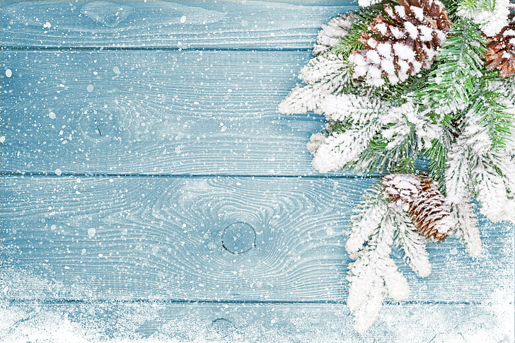 مخروط الصنوبر البني وأوراق شجرة الصنوبر الخضراء ، الشتاء ، الثلج ، شجرة ، رأس السنة الجديدة ، عيد الميلاد ، المطبات ، الخشب ، الديكور ، ميلاد سعيد، خلفية HD