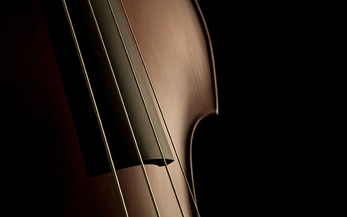 cello, violins, HD wallpaper HD wallpaper