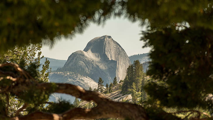 Half Dome, Parco nazionale Yosemite, natura, paesaggio, Sfondo HD