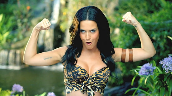 Katy Perry Desktop, HD-Hintergrundbild HD wallpaper