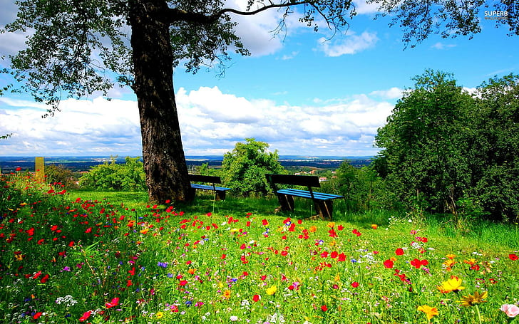 Прекрасный весенний день, спокойствие, парк, природа, красиво, цветы, весна, деревья, мирно, скамейки, декорации, облака, природа, HD обои