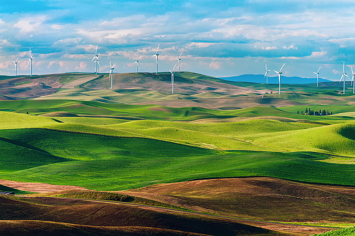 field, Washington, USA, state, Wind turbines, wind farms, HD wallpaper