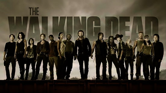 วอลล์เปเปอร์ The Walking Dead, รายการทีวี, The Walking Dead, Andrew Lincoln, Carl Grimes, Chandler Riggs, Danai Gurira, Michonne (The Walking Dead), Norman Reedus, Rick Grimes, วอลล์เปเปอร์ HD HD wallpaper