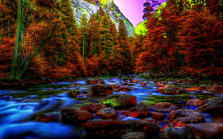 Yosmite In Autumn, maple tree view, mountain, stream, stones, river, autumn,  HD wallpaper | Wallpaperbetter