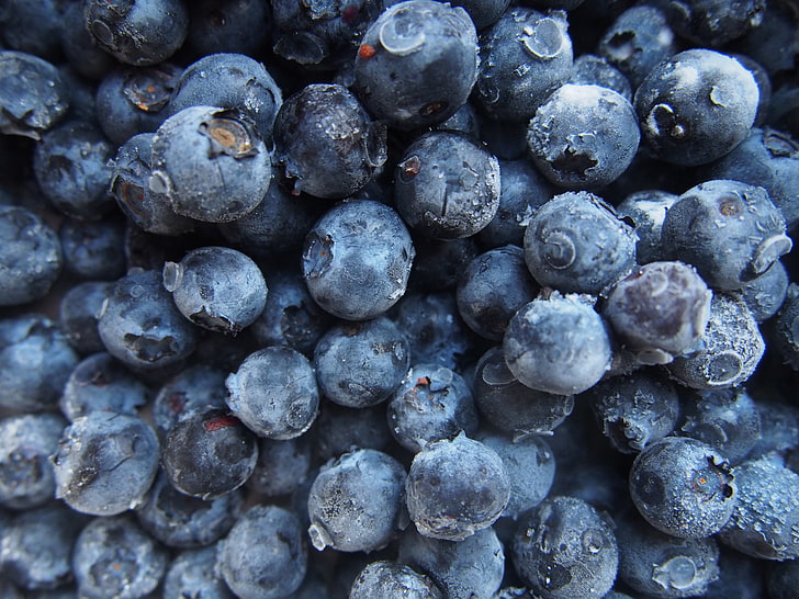 buah blueberry, blueberry, beri, panen, matang, Wallpaper HD