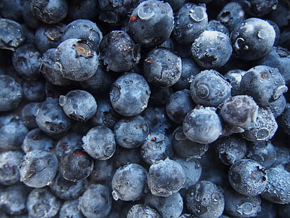 blueberry fruits, blueberries, berries, harvest, ripe, HD wallpaper HD wallpaper