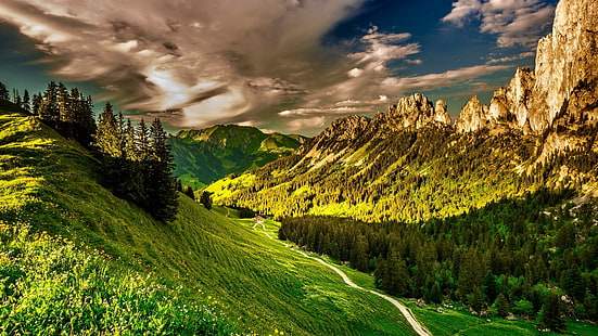 планинска природа, Европа, Фрайбург кантон, планинска верига, пейзаж, швейцарски Алпи, Фрайбург, дърво, пасища, трева, пътека, пустиня, растителност, Алпи, Швейцария, природа, небе, пътека, планина, HD тапет HD wallpaper