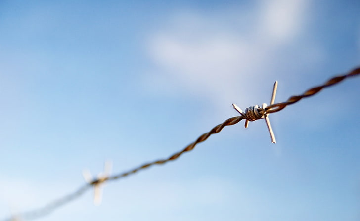 Barbed Wire, gray metal barb wire, Army, blue sky, barbed wire, barb wire, bob, bobbed, fence, HD wallpaper
