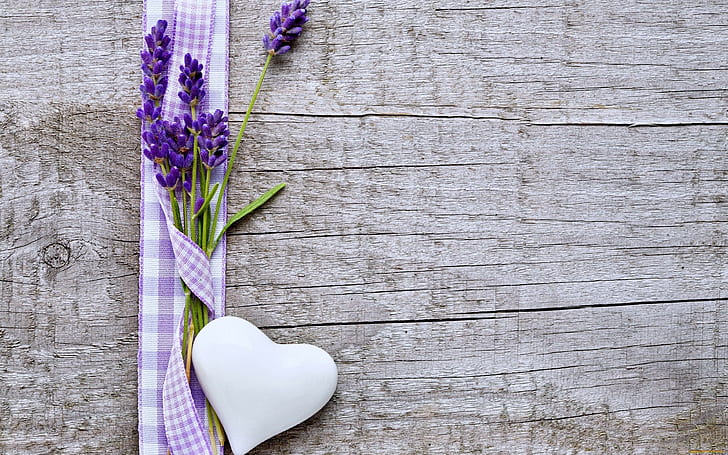 emotions, Flowers, hearts, lavender, love, Purple, Woods, HD wallpaper