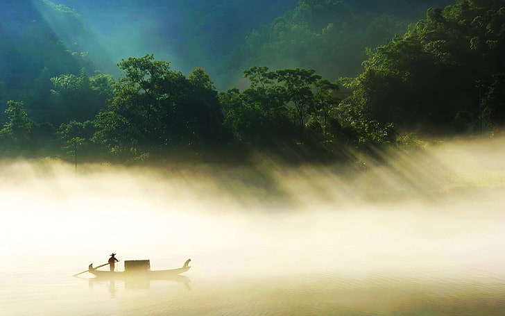 sylwetka człowieka wiosłującego łodzią w ciągu dnia, las, łódź, mgła, odbicie, światło słoneczne, drzewa, Tapety HD