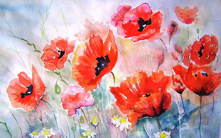 Malarstwo z czerwonymi płatkami kwiatów, Maki, obraz, akwarela, Tapety HD