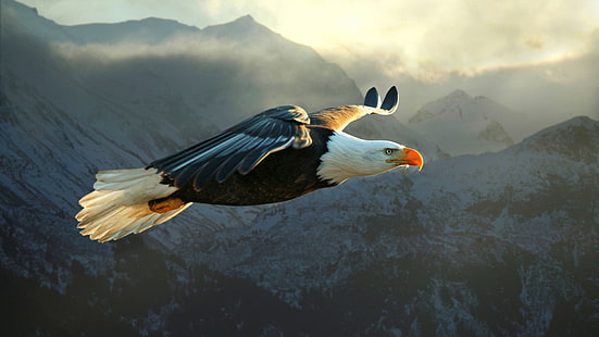 águila americana en blanco y negro, animales, naturaleza, águila, águila calva, Fondo de pantalla HD HD wallpaper