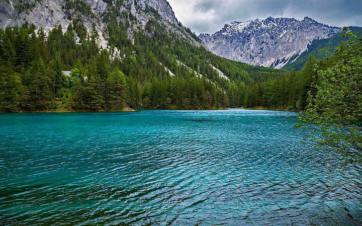 berg omgiven av vattensamling, natur, landskap, sommar, sjö, skog, berg, Alperna, Österrike, vatten, träd, turkos, grön, HD tapet