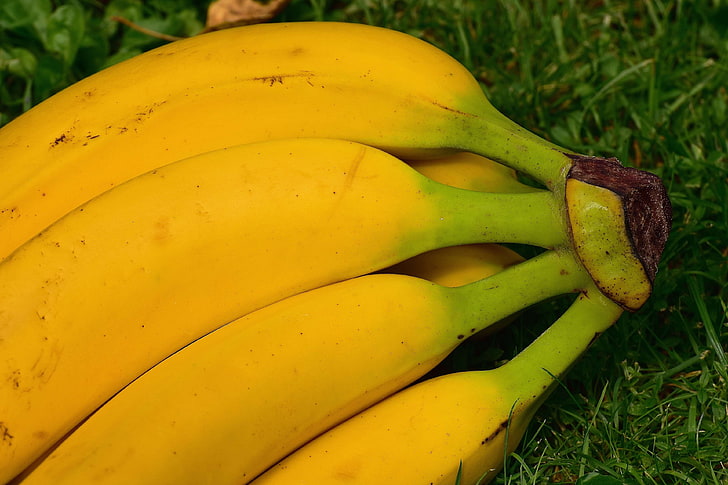 banana peel, bananas, close, frisch, fruit, fruits, healthy, nature, ripe, yellow, HD wallpaper