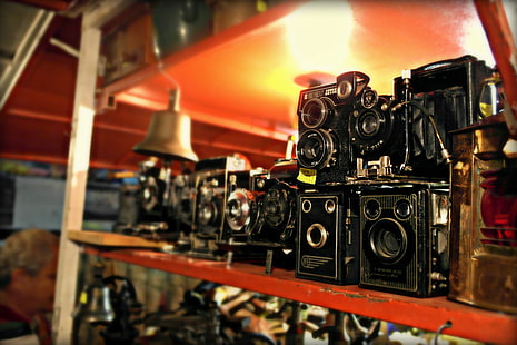 빈티지 카메라 컬렉션, 카메라, 오래 된, 빈티지, 밝은, 갈색, 노스탤지어, 선반, TLR, HD 배경 화면 HD wallpaper