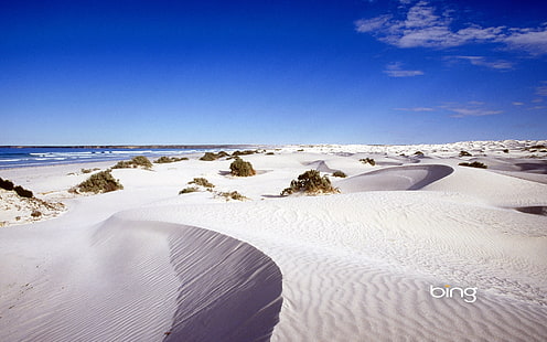 Wüste-Mai 2013 Bing Tapete, Bing Tapete, HD-Hintergrundbild HD wallpaper