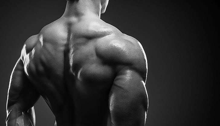 culturista, masa muscular, músculos de la espalda, Fondo de pantalla HD