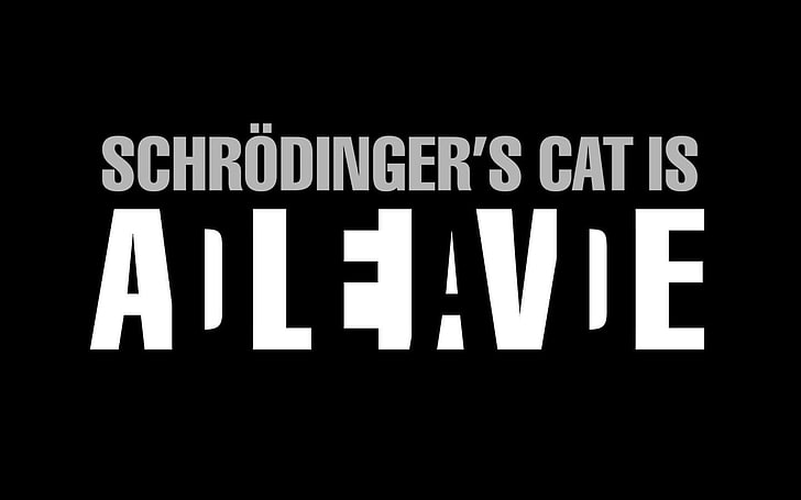 black background with schrodingers text overlay, science, quote, text, Schrodinger, Schrodinger Cat, typography, minimalism, digital art, simple background, HD wallpaper