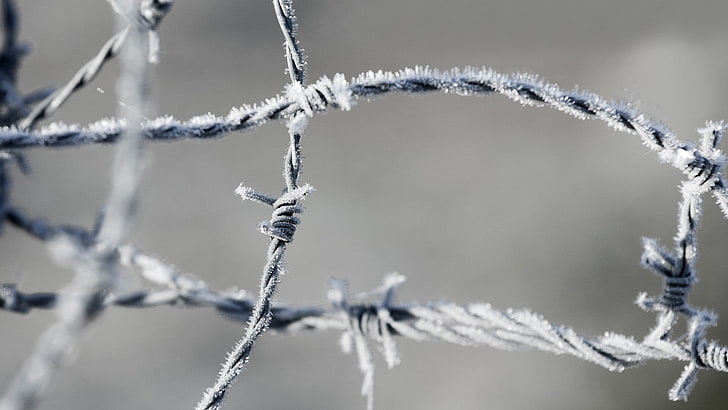 grauer Stacheldraht, Fotografie des flachen Fokus des Seils, Nahaufnahme, Stacheldraht, Eis, Makro, Frost, HD-Hintergrundbild