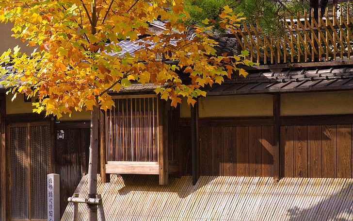 painel de janela de madeira marrom, folhas, ramos, outono, amarelo, árvore, casa, hieróglifos, HD papel de parede
