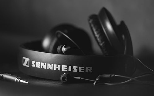 hitam Sennheiser dijalin dgn tali headphone, headphone, hitam dan putih, Hi-Tech, sennheiser, HD 205, Wallpaper HD HD wallpaper