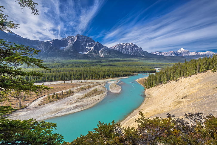 forest, mountains, river, Canada, Albert, Alberta, Jasper National Park, Athabasca River, Canadian Rockies, River Athabasca, HD wallpaper