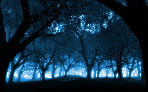black blue blue forest Hutan Alam Seni HD, Biru, Hitam, alam, hutan, gelap, langit, Wallpaper HD HD wallpaper