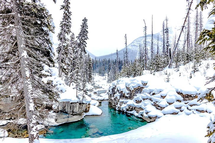 winter, forest, snow, trees, stream, Canada, the snow, river, British Columbia, Kootenay National Park, Marble Canyon, Tokum Creek, Tokumm Creek, HD wallpaper