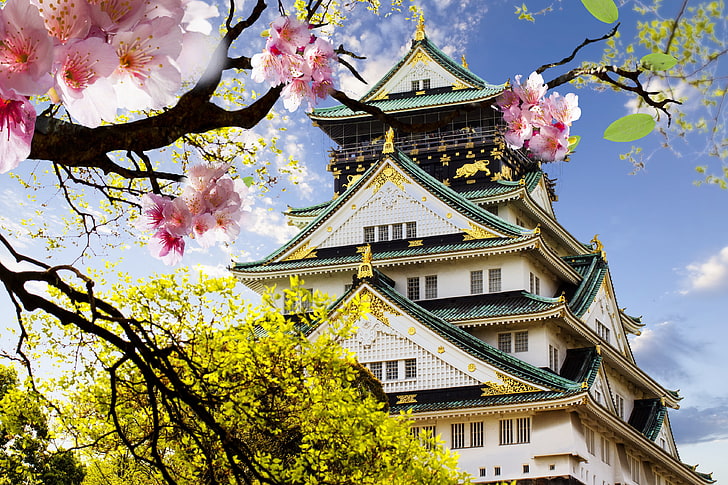 Япония, архитектура, вишневый цвет, замок в Осаке, Осака, HD обои