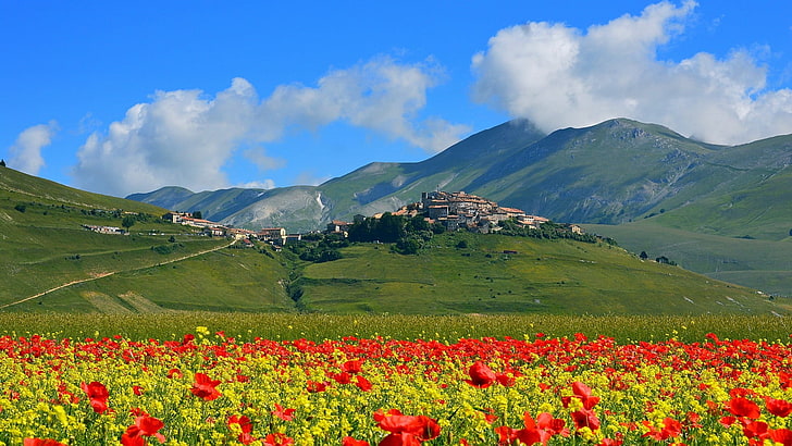 kırmızı ve sarı haşhaş çiçekleri, doğa, manzara, bulutlar, ağaçlar, İtalya, mimari, kale, tepeler, antik, dağlar, eski bina, köy, alan, çiçekler, çimen, haşhaş, yol, yaz, HD masaüstü duvar kağıdı