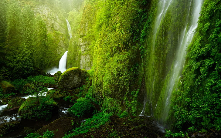 Cascadas hito, cascada, paisaje, naturaleza, Wahclella Falls, Estados Unidos, Oregon, Fondo de pantalla HD
