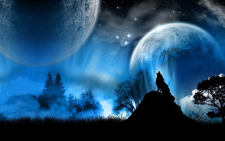 Wolf Hintergrund Desktop, HD-Hintergrundbild