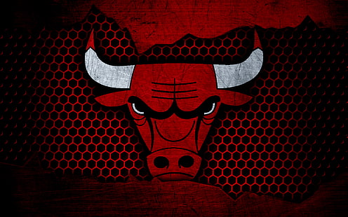 Bola Basket, Chicago Bulls, Logo, NBA, Wallpaper HD HD wallpaper