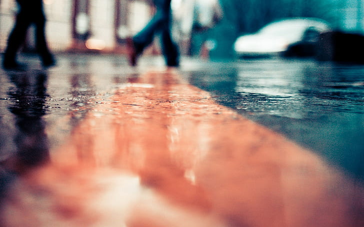 jalan kota, jalan basah, Wallpaper HD