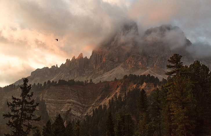 braune Bergkette in der Nähe von Wald, Berge, Nebel, Wolken, Tageslicht, Wald, Landschaft, Natur, im Freien, Sonnenuntergang, Felsen, Gras, HD-Hintergrundbild
